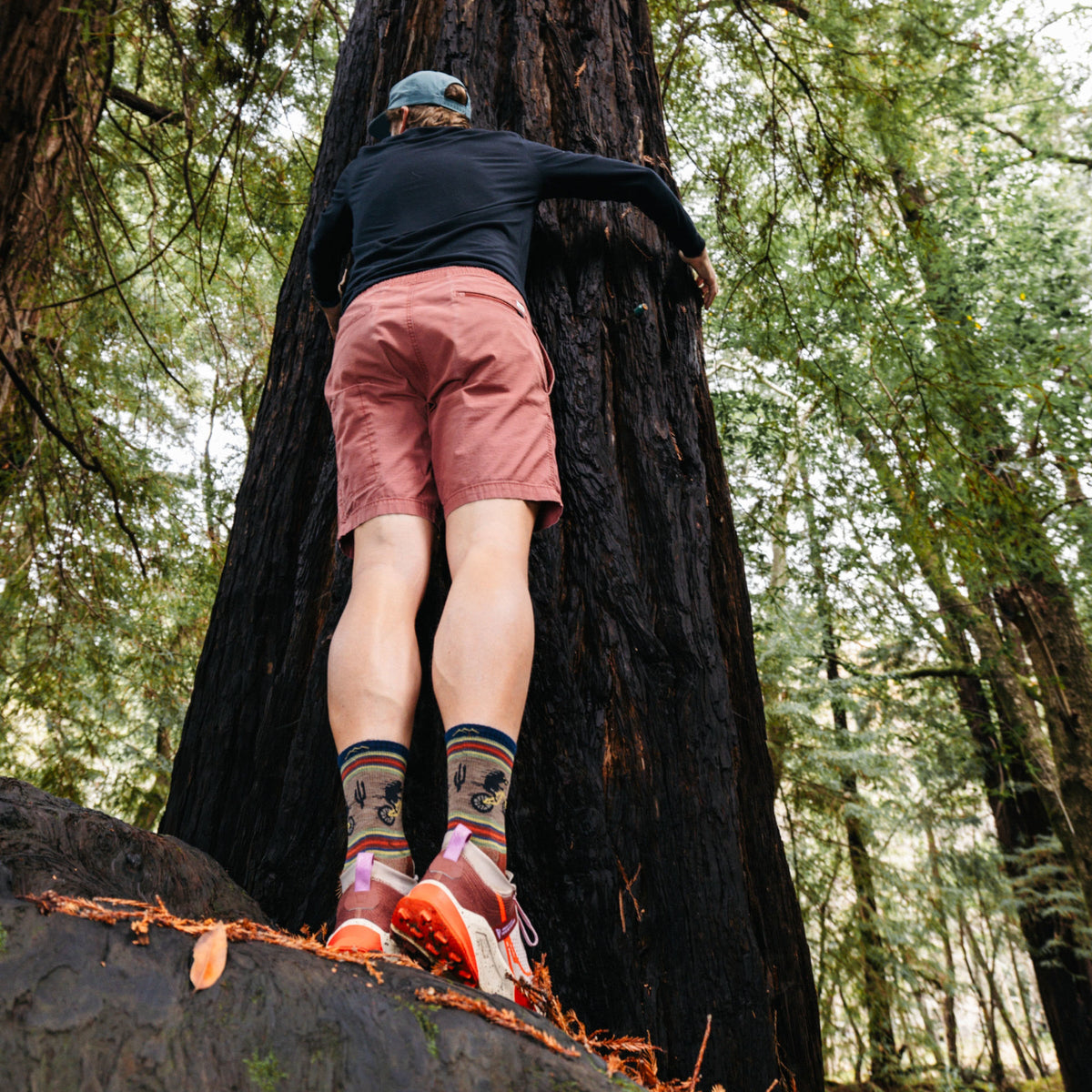 Darn Tough Men's Willoughby Micro Crew Lightweight Hiking Socks product image