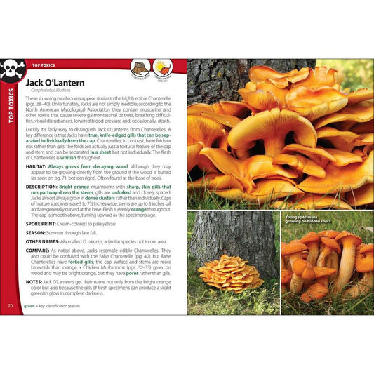 AdventureKEEN Mushrooms of the Northeast-Books - Books-AdventureKEEN-Appalachian Outfitters