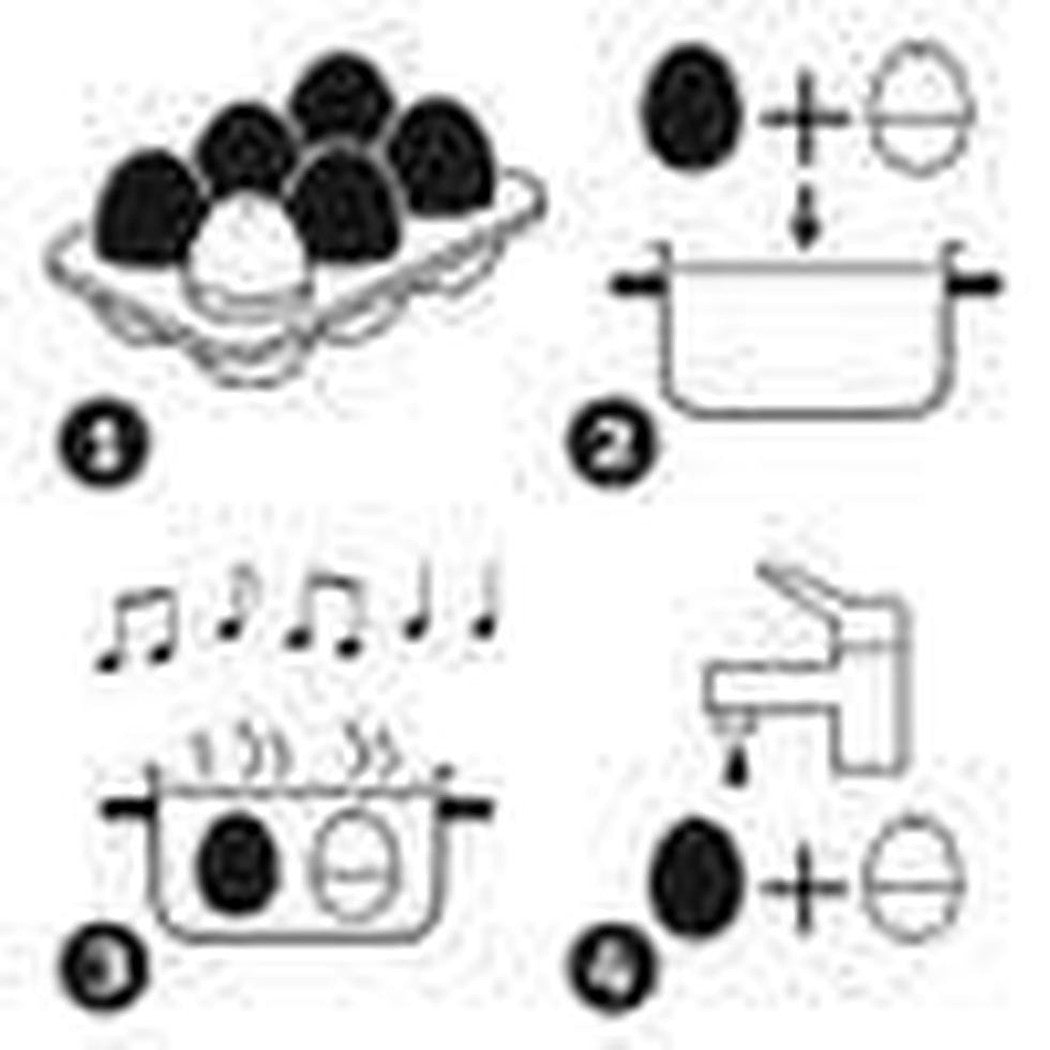 Brainstream USA-BeepEgg - Camping-Appalachian Outfitters