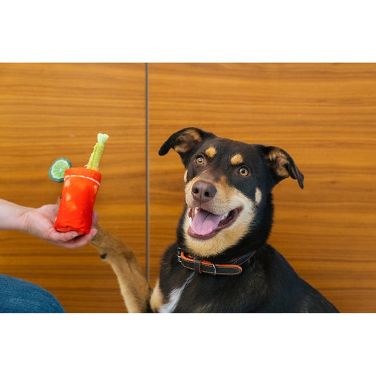 P.L.A.Y Barking Brunch Buddy Mary product image