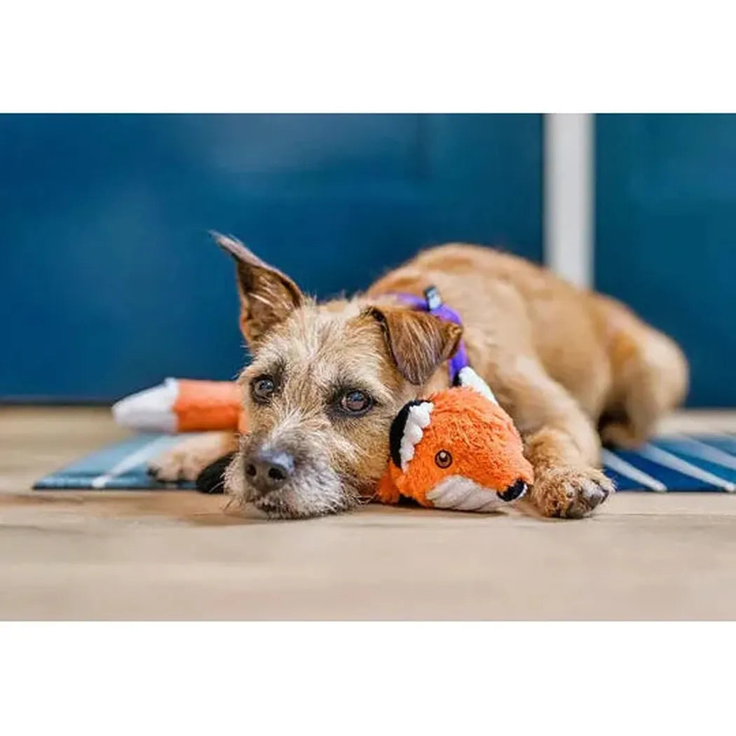 P.L.A.Y Forest Friends Forest the Fox-Pets - Toys-P.L.A.Y-Appalachian Outfitters
