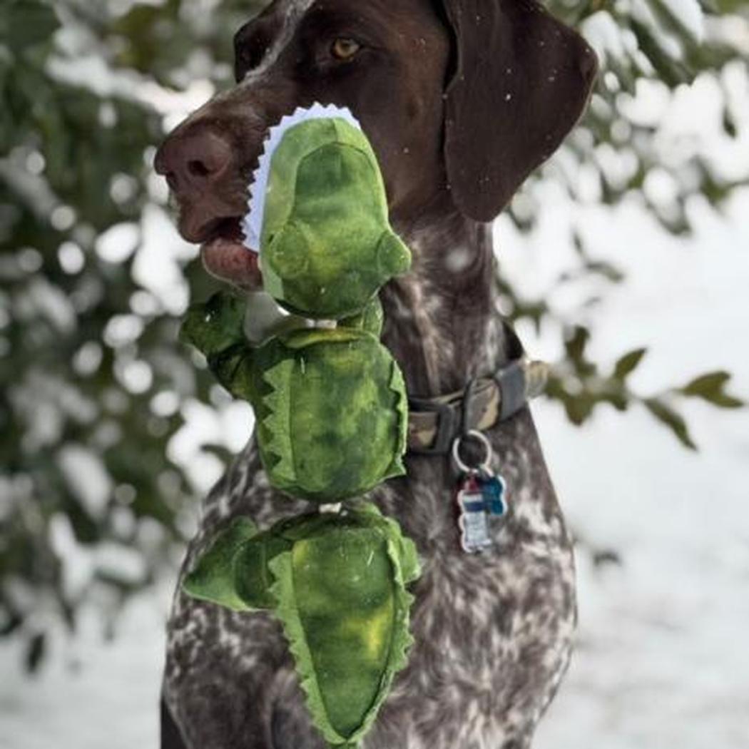 Tall Tails Gator Jointed Shake Play Dog Toy-Pets - Toys-Tall Tails-Appalachian Outfitters