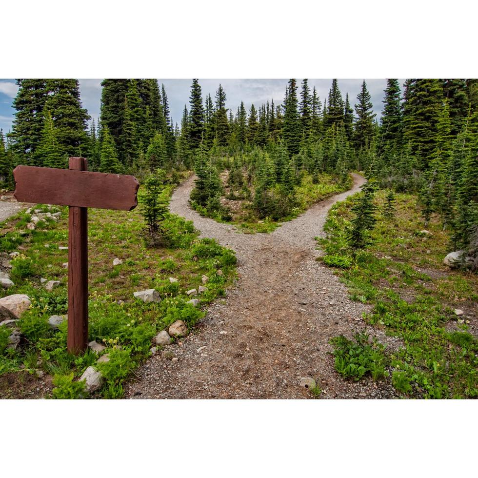 best hiking trails