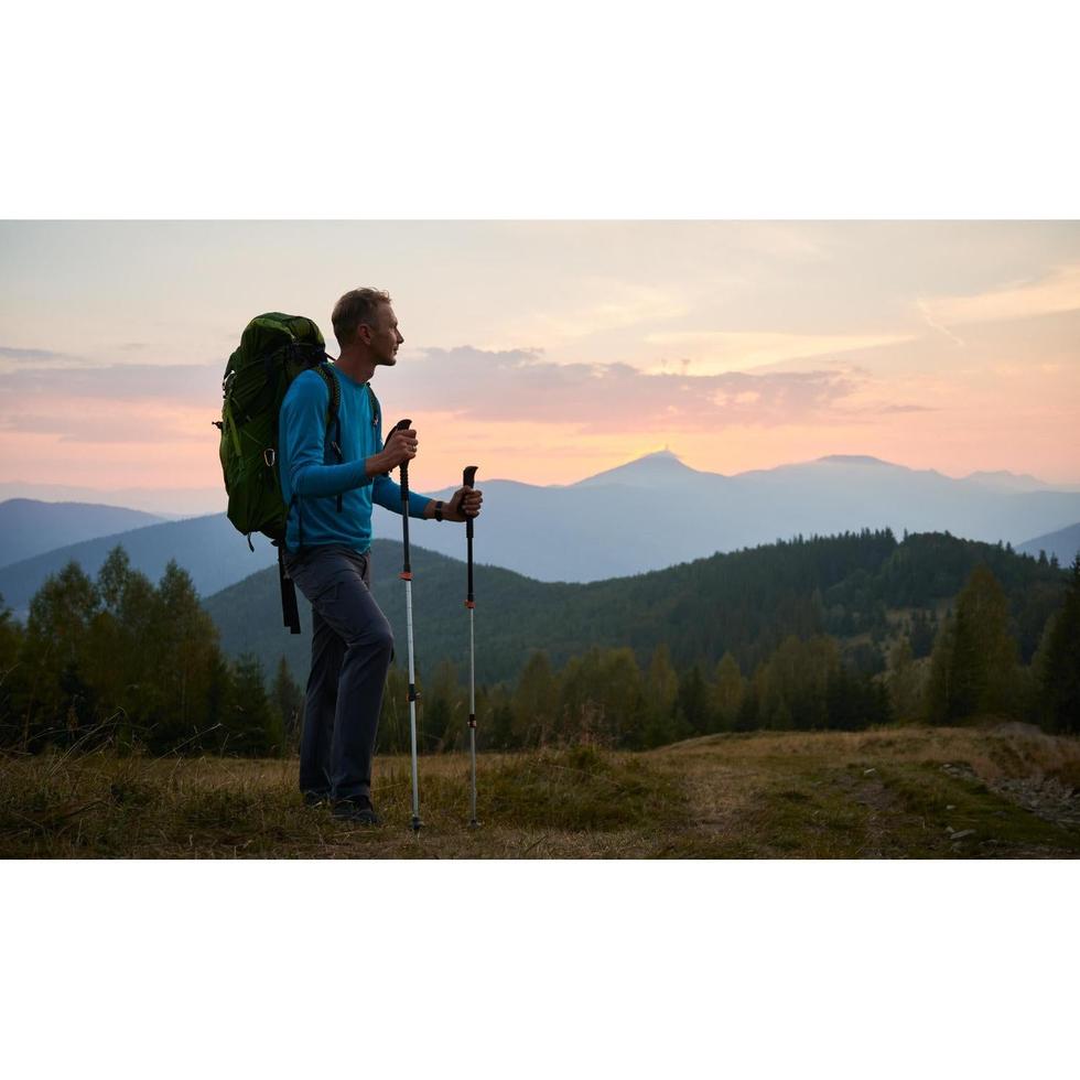 best trekking poles