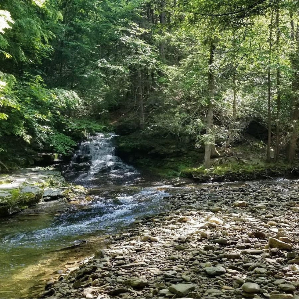 Backpacking the Old Loggers Path-Appalachian Outfitters