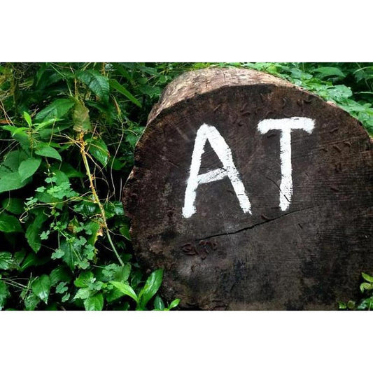 Tennessee Backpack Venture Crew-Appalachian Outfitters