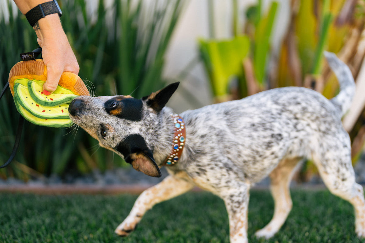 P.L.A.Y Barking Brunch Avo-doggo Toast product image