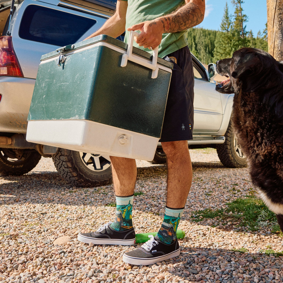Smartwool Hike Trail Trekker Print Crew Socks product image