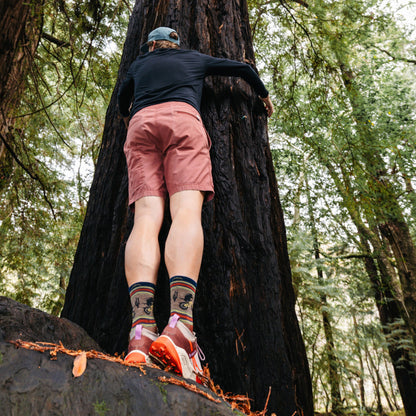 Darn Tough Men's Willoughby Micro Crew Lightweight Hiking Socks product image