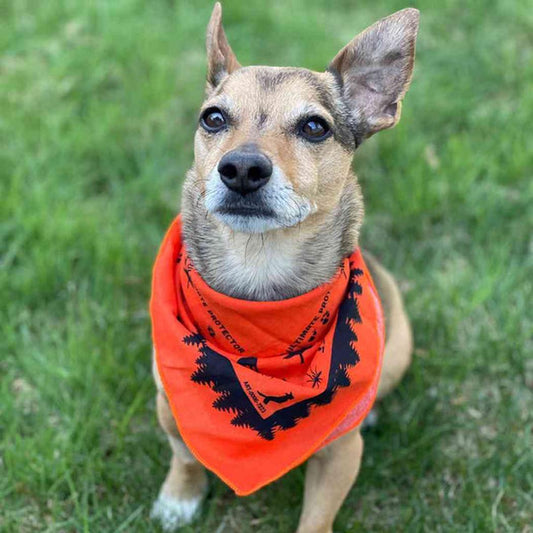Adventure Ready Brands Ben's Bandana with Insect Shield - Dog-Pets - Apparel-Adventure Ready Brands-Appalachian Outfitters