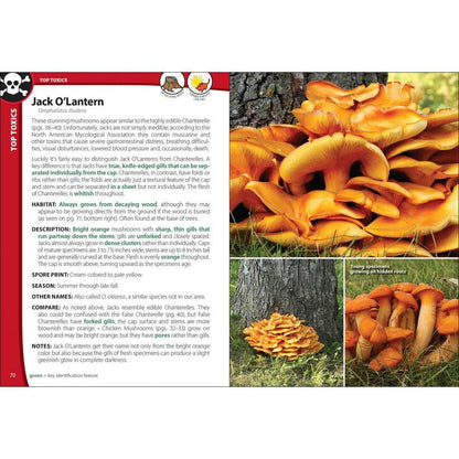 AdventureKEEN Mushrooms of the Northeast-Books - Books-AdventureKEEN-Appalachian Outfitters