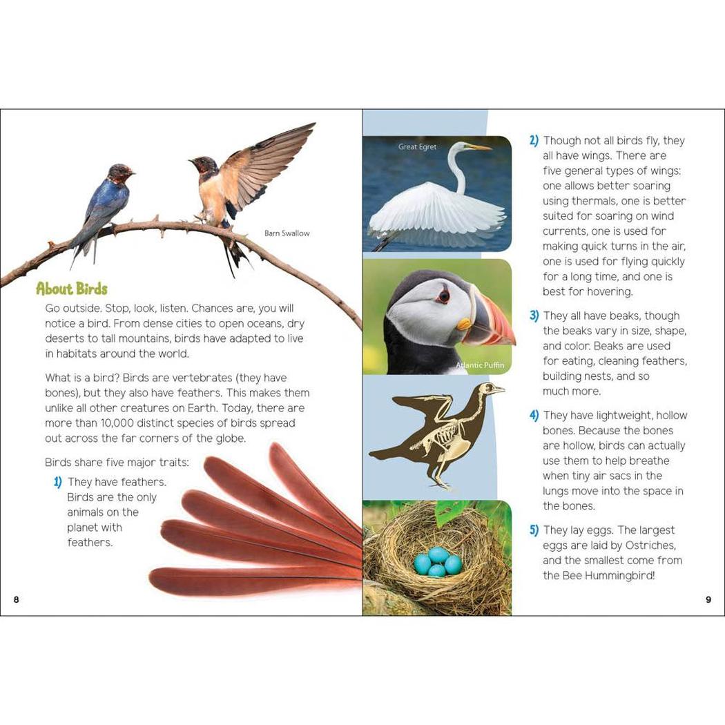 Backyard Birding for Kids-Books - Books-AdventureKEEN-Appalachian Outfitters