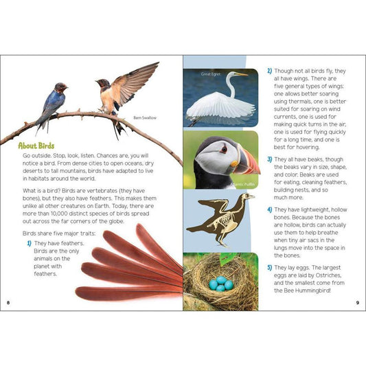 Backyard Birding for Kids-Books - Books-AdventureKEEN-Appalachian Outfitters