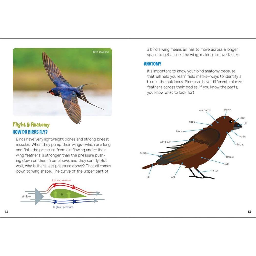 Backyard Birding for Kids-Books - Books-AdventureKEEN-Appalachian Outfitters