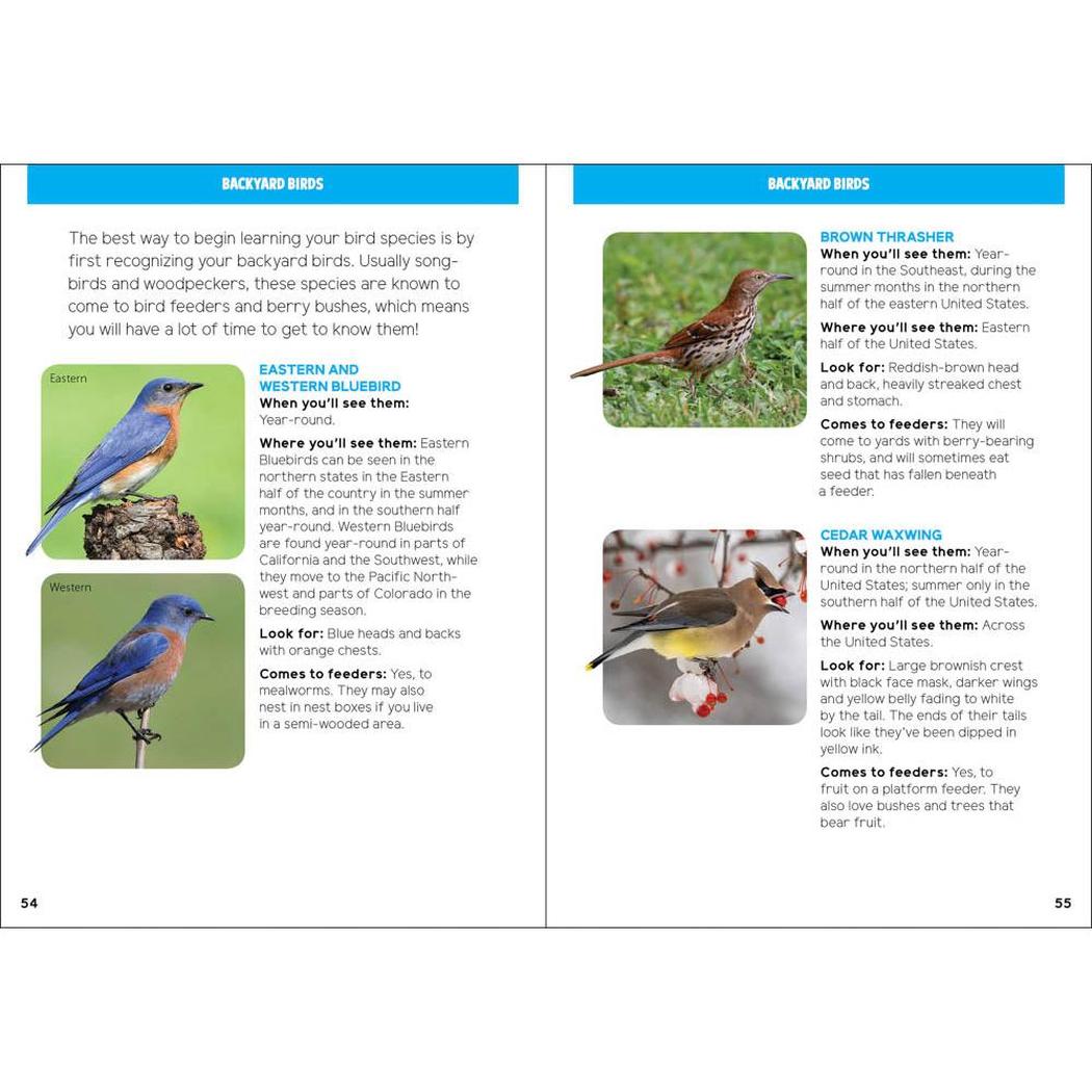 Backyard Birding for Kids-Books - Books-AdventureKEEN-Appalachian Outfitters