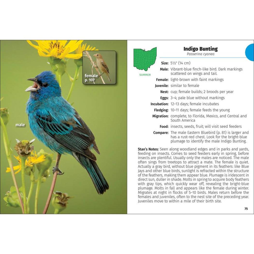 Birds of Ohio Field Guide 3e-Books - Books-AdventureKEEN-Appalachian Outfitters