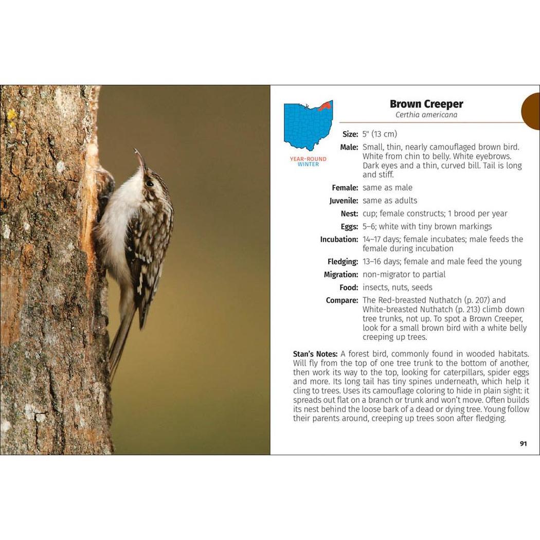 Birds of Ohio Field Guide 3e-Books - Books-AdventureKEEN-Appalachian Outfitters