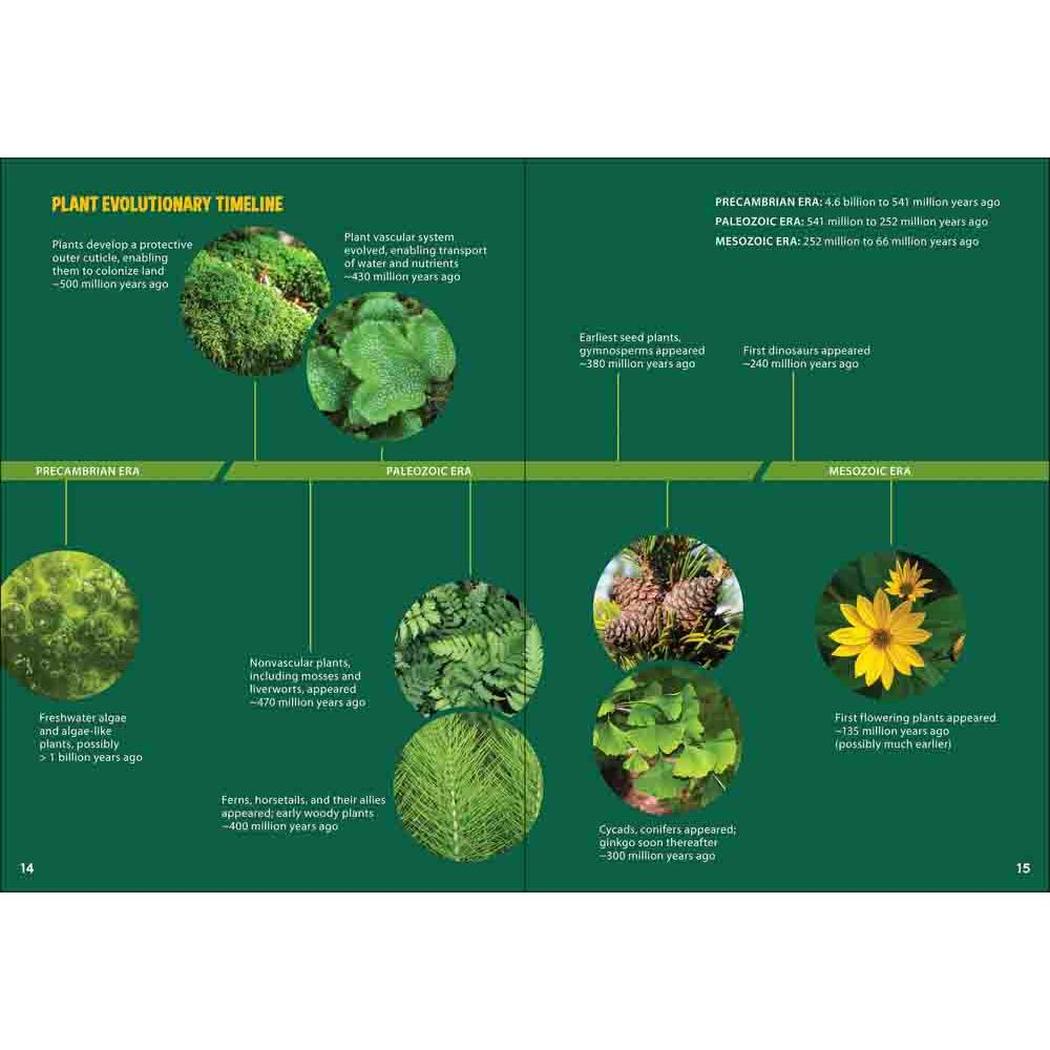 Pollinators & Native Plants for Kids-Books - Books-AdventureKEEN-Appalachian Outfitters
