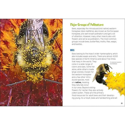 Pollinators & Native Plants for Kids-Books - Books-AdventureKEEN-Appalachian Outfitters