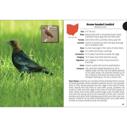 Brown-headed Cowbird page from the Birds of Ohio Field Guide 3e showing a male bird in grass with text on the right.