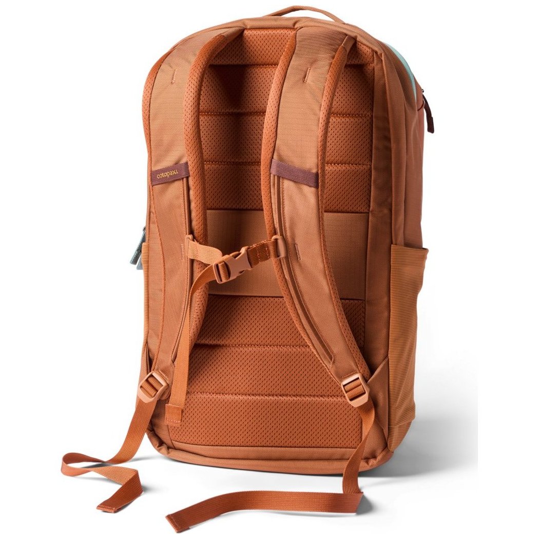 Back view of the Cotopaxi Allpa 26L Daypack in Blue Spruce/Abyss showing padded straps and a white background.