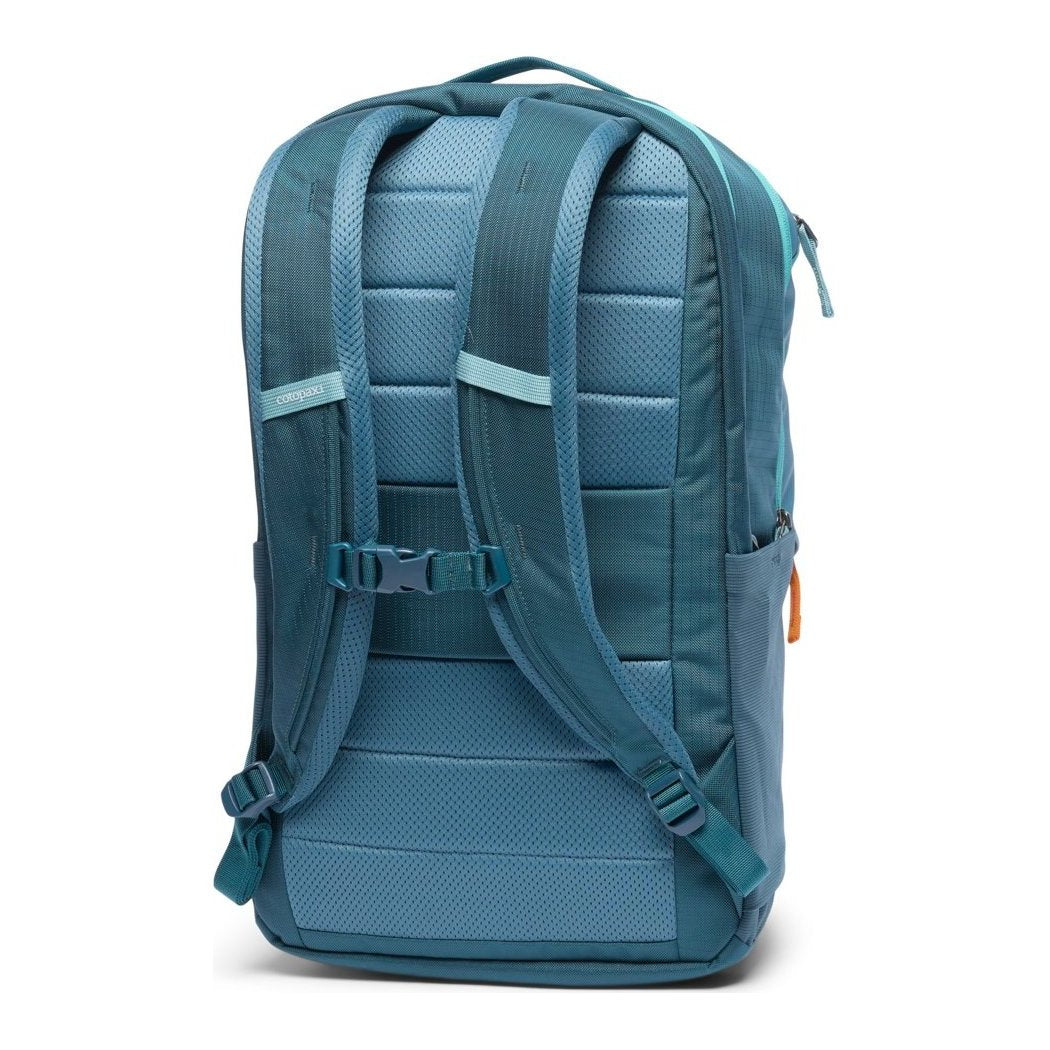Back view of the Cotopaxi Allpa 26L Daypack in Blue Spruce/Abyss showing padded straps and a white background.