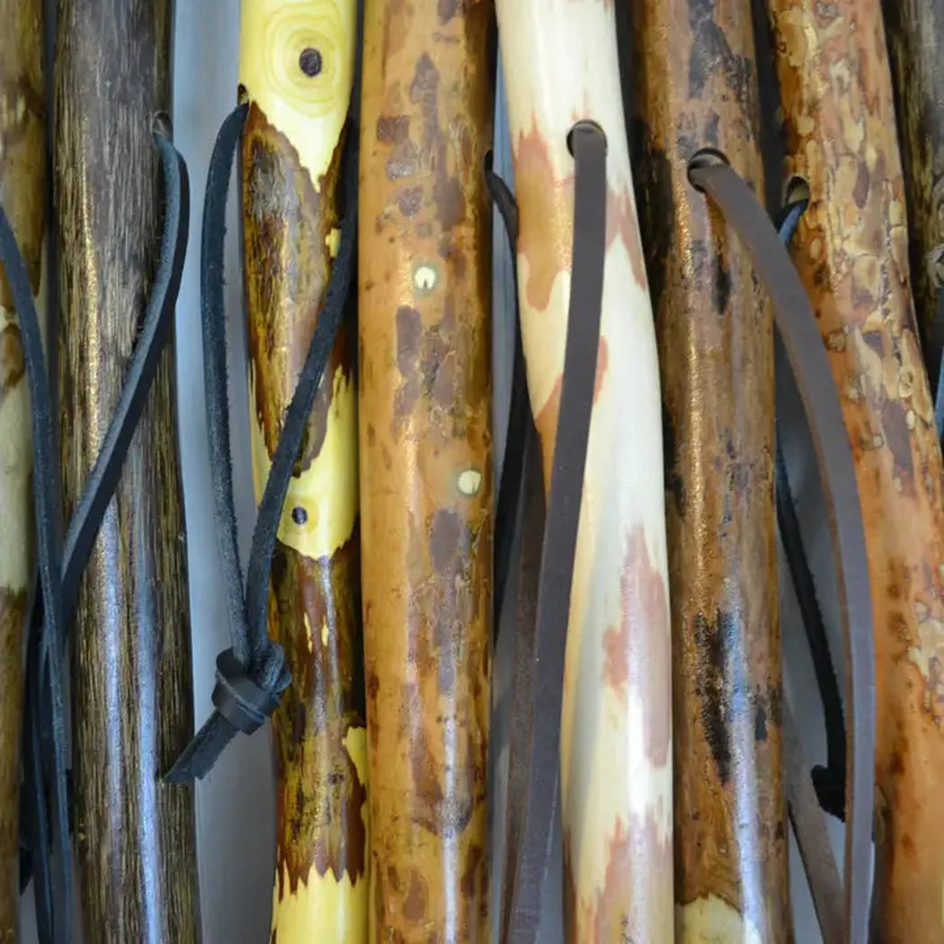 Creation Carvings Walking Stick-Camping - Trekking Poles - Walking Sticks-Creation Carvings-Appalachian Outfitters