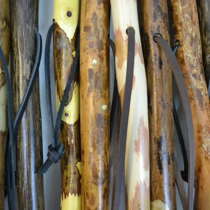 Creation Carvings Walking Stick-Camping - Trekking Poles - Walking Sticks-Creation Carvings-Appalachian Outfitters