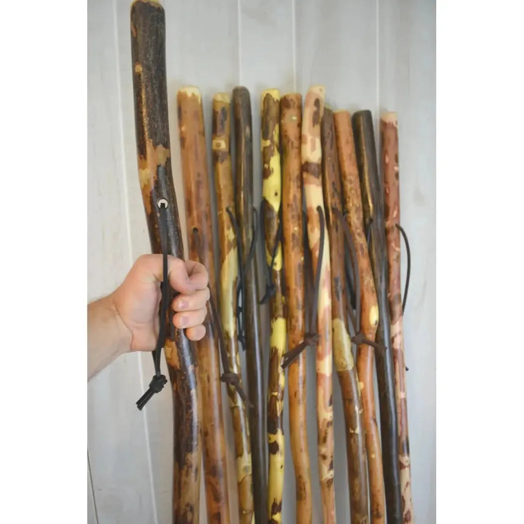 Creation Carvings Walking Stick-Camping - Trekking Poles - Walking Sticks-Creation Carvings-Appalachian Outfitters