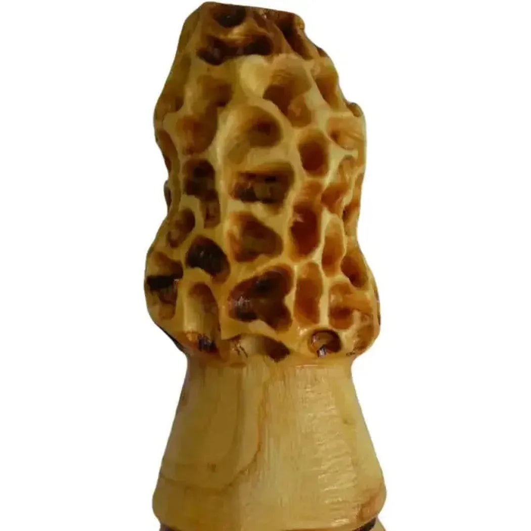 Creation Carvings Walking Stick with Morel Mushroom Carving-Camping - Trekking Poles - Walking Sticks-Creation Carvings-Appalachian Outfitters
