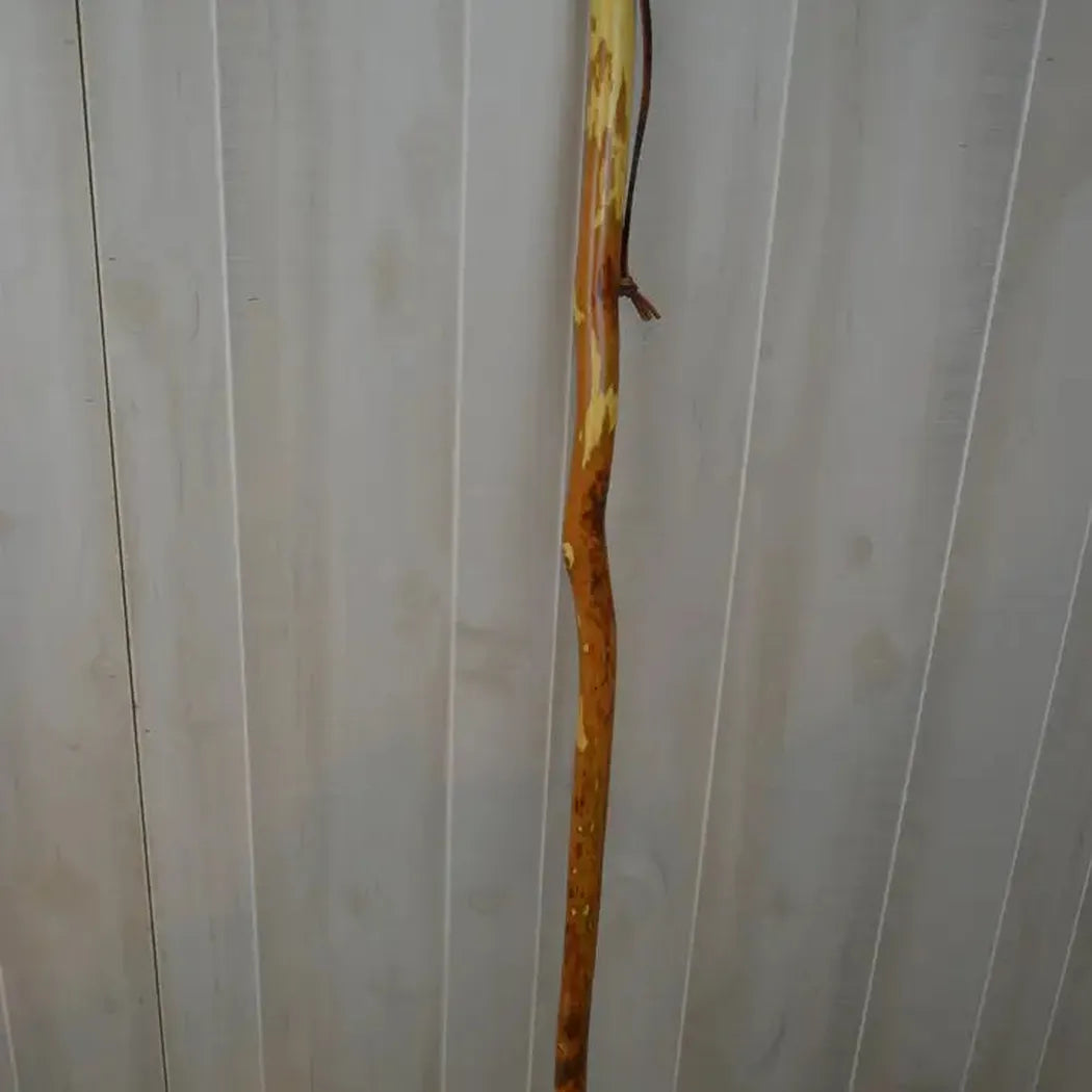 Creation Carvings Walking Stick with Owl Carving-Camping - Trekking Poles - Walking Sticks-Creation Carvings-Appalachian Outfitters