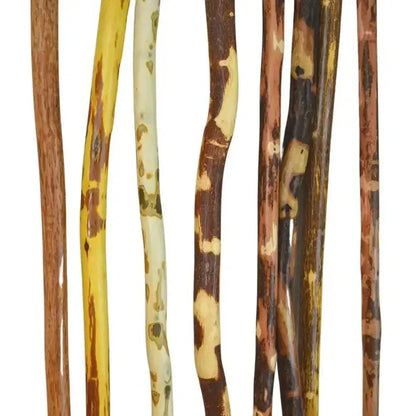 Creation Carvings Walking Stick-Camping - Trekking Poles - Walking Sticks-Creation Carvings-60"-Appalachian Outfitters