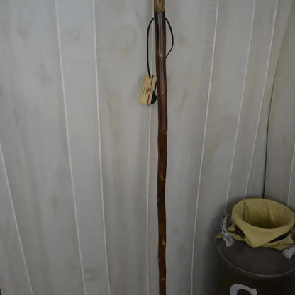 Creation Carvings Wood Walking Stick with Wood Spirit Carving in Sweetgum-Camping - Trekking Poles - Walking Sticks-Creation Carvings-Appalachian Outfitters