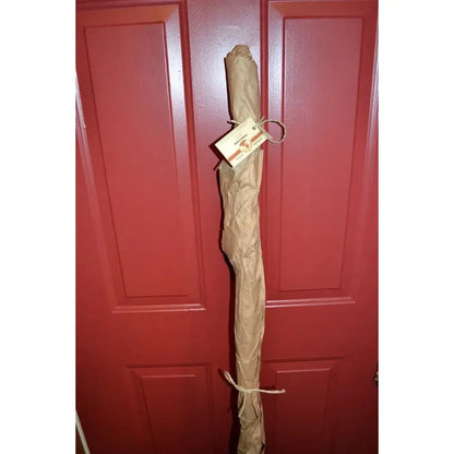 Creation Carvings Wood Walking Stick with Wood Spirit Carving in Sweetgum-Camping - Trekking Poles - Walking Sticks-Creation Carvings-Appalachian Outfitters