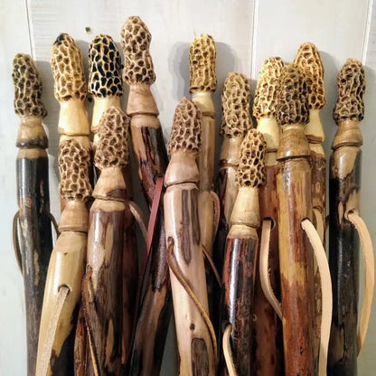 Creation Carvings Walking Stick with Morel Mushroom Carving-Camping - Trekking Poles - Walking Sticks-Appalachian Outfitters