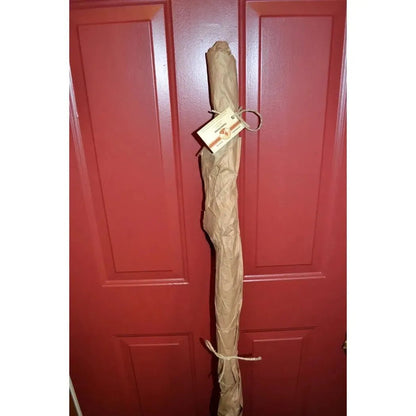 A wrapped Creation Carvings Wood Walking Stick with Wood Spirit Carving in Sweetgum leans against a red door.
