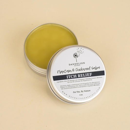Dandelion Naturals Itch Relief Salve with Chickweed, Plantain, Calendula-Camping - First Aid - Skin Care-Dandelion Naturals-Appalachian Outfitters