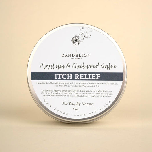 Dandelion Naturals Itch Relief Salve with Chickweed, Plantain, Calendula-Camping - First Aid - Skin Care-Dandelion Naturals-Appalachian Outfitters