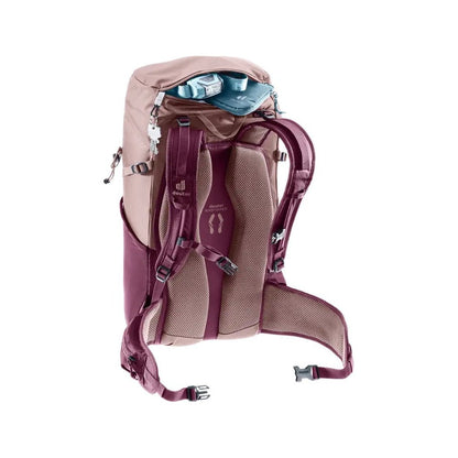 Back view of the Deuter Telatie 24 SL in Ashrose Cassis showing padded straps and a partially open top compartment.