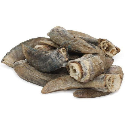 Icelandic+ Small Lamb Horn with Marrow-Pets - Treats-Icelandic+-Appalachian Outfitters
