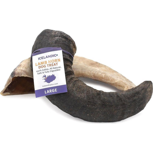 Icelandic+ Large Lamb Horn Dog Treat-Pets - Treats-Appalachian Outfitters