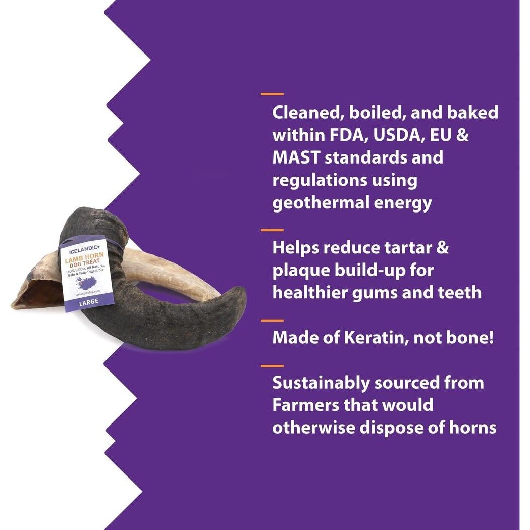 Icelandic+ Large Lamb Horn Dog Treat-Pets - Treats-Appalachian Outfitters