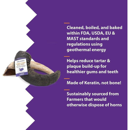 Icelandic+ Large Lamb Horn Dog Treat-Pets - Treats-Appalachian Outfitters