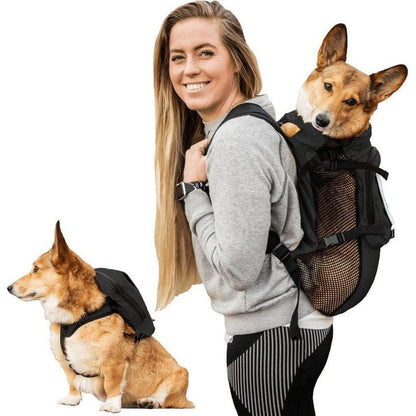 A woman wears the Anthracite Black K9 Sport Sack Walk-on with Harness & Storage on her back while a corgi sits nearby.
