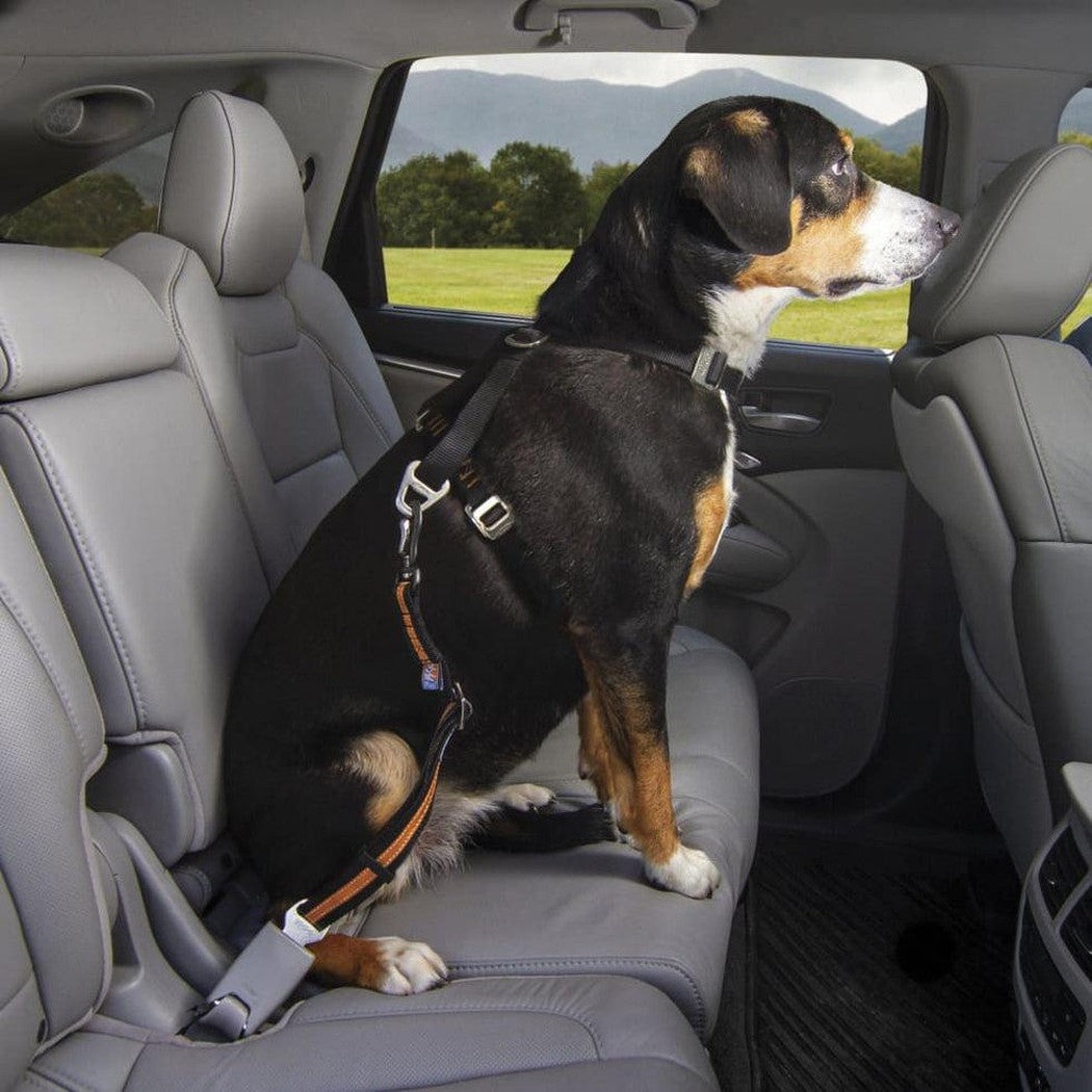 Kurgo Direct To Seatbelt Swivel Tether-Pets - Travel - Car Accessories-Appalachian Outfitters