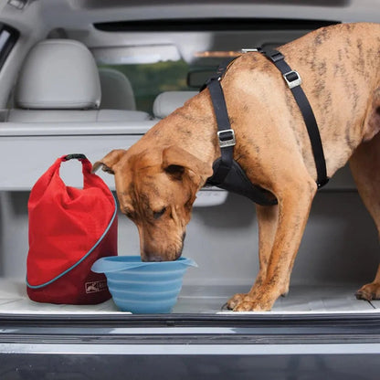 A brown dog in a Kurgo Kibble Carrier drinks from a blue bowl in a car trunk with a Chili Red bag nearby.
