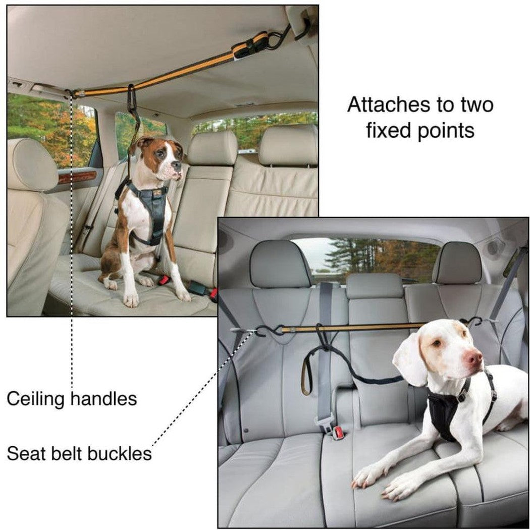 Kurgo Auto Zip Line with Leash/tether Black/Orange Outdoor 