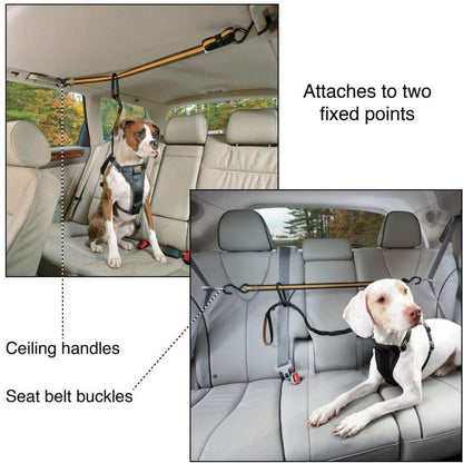 Kurgo Auto Zip Line with Leash/tether Black/Orange Outdoor 