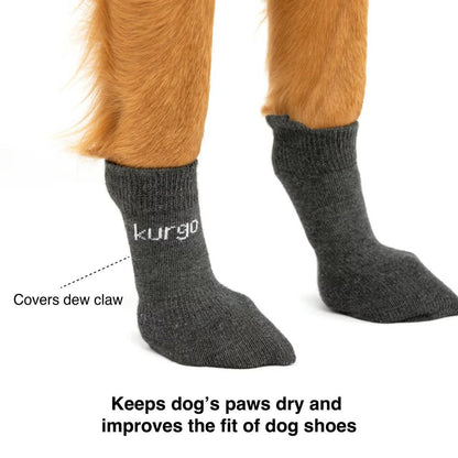 Kurgo Blaze Dog Socks-Pets - Apparel-Kurgo-Appalachian Outfitters