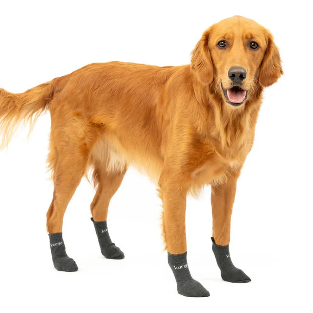 Kurgo Blaze Dog Socks-Pets - Apparel-Kurgo-Appalachian Outfitters